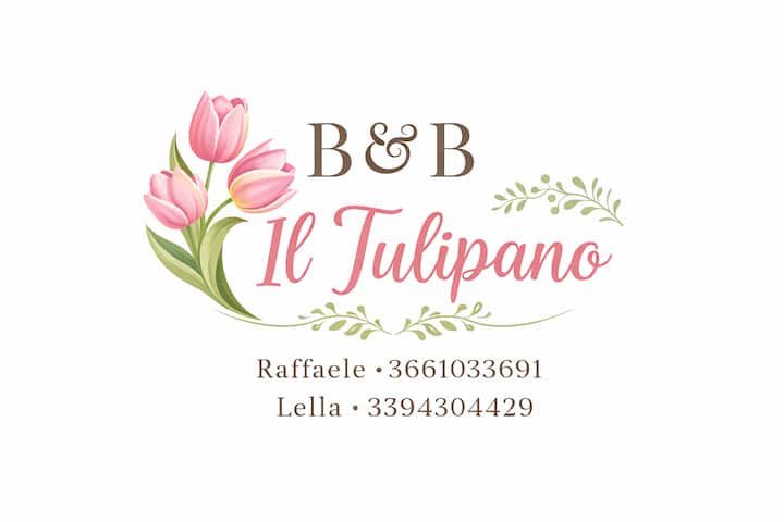 Il tulipano