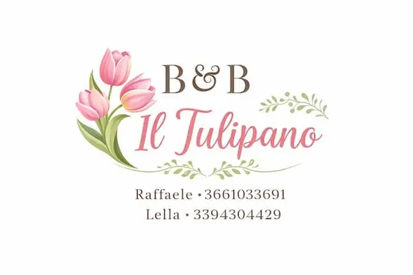 Il tulipano a Marcianise (CE) — prenotazione diretta su Hostland